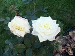 29/09-1/10/2012 Одесса