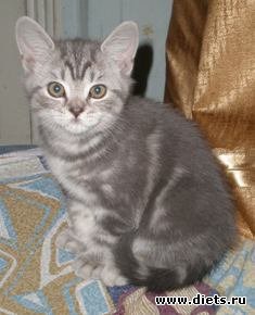 ��������� 2��������� �������