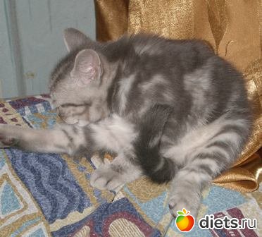 ��� ��� ����