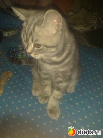 ��� ��� ����