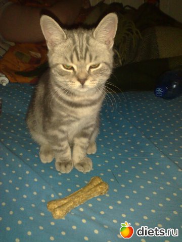 ��� ��� ����