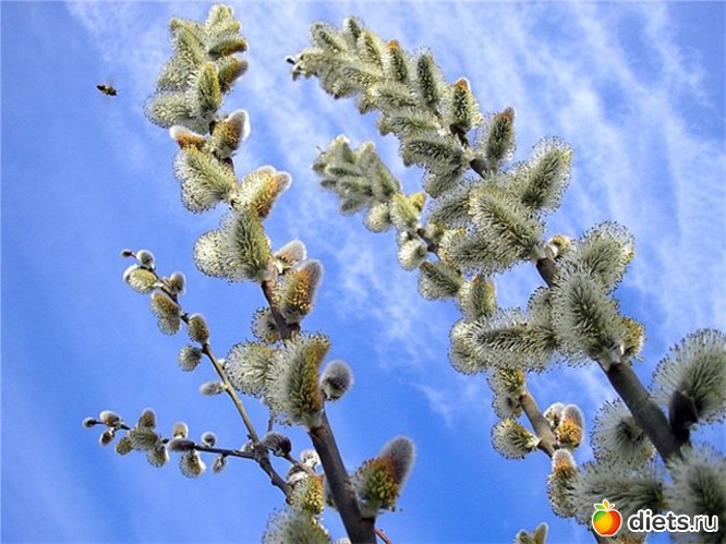 1 ����: �����...