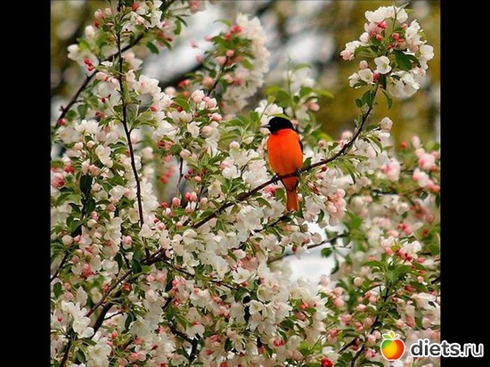 3 ����: �����...