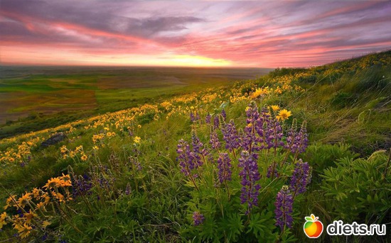 4 ����: �����...