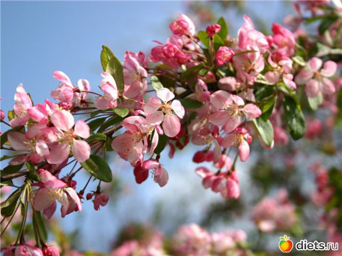 5 ����: �����...