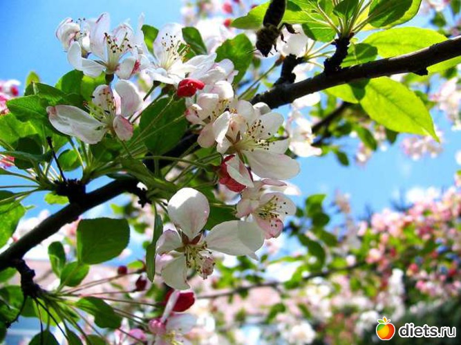 6 ����: �����...