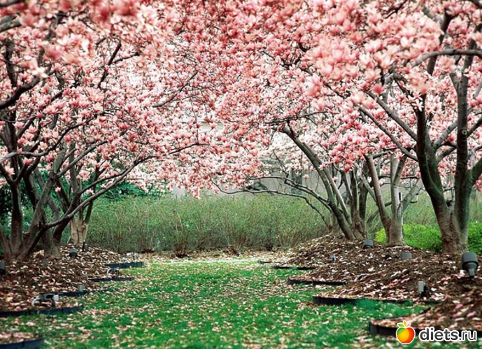 8 ����: �����...