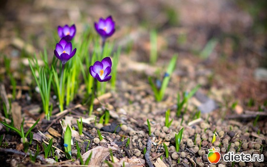 13 ����: �����...