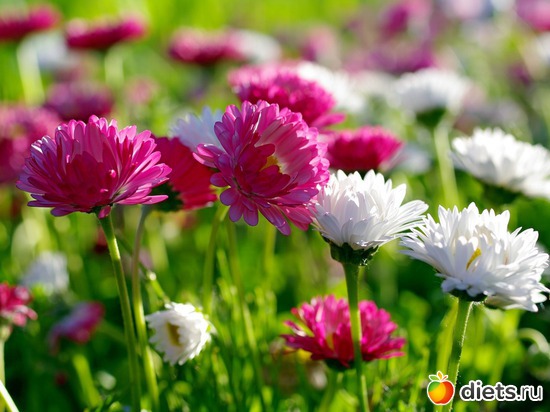 14 ����: �����...