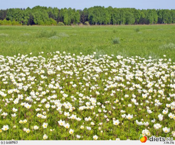 15 ����: �����...