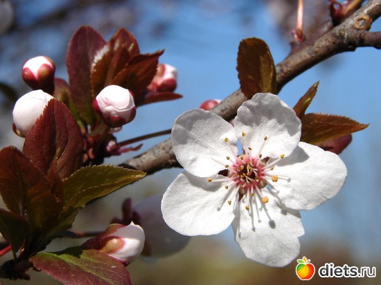 16 ����: �����...