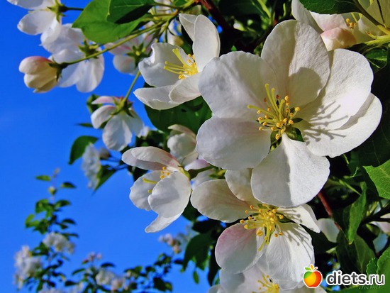 18 ����: �����...