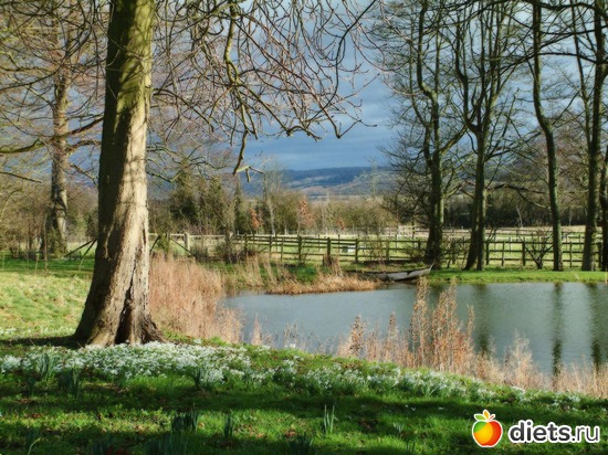 20 ����: �����...