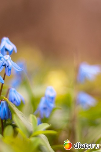 22 ����: �����...