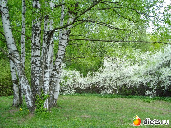 27 ����: �����...