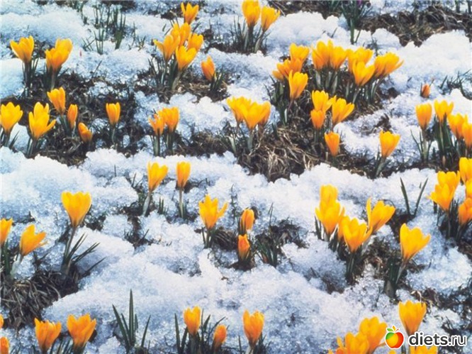 28 ����: �����...