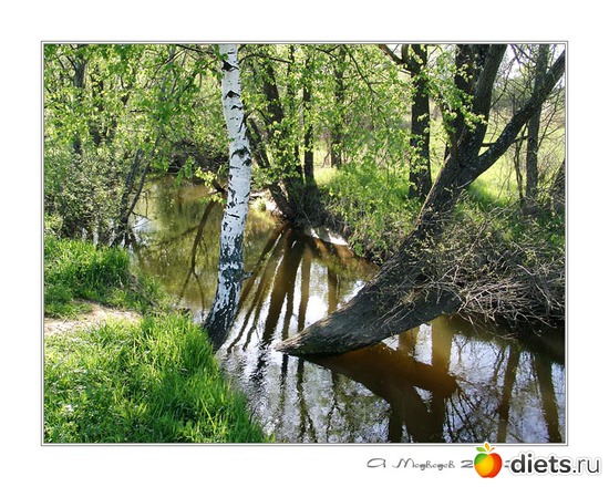 29 ����: �����...