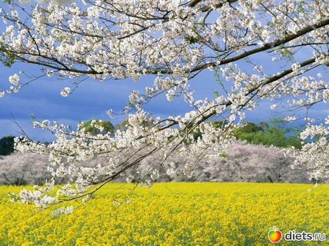 30 ����: �����...