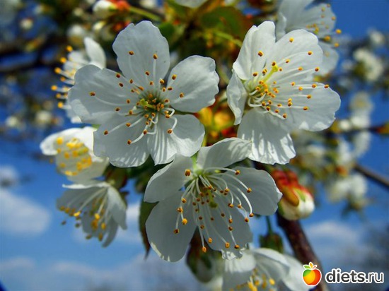 32 ����: �����...