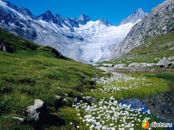 34 ����: �����...