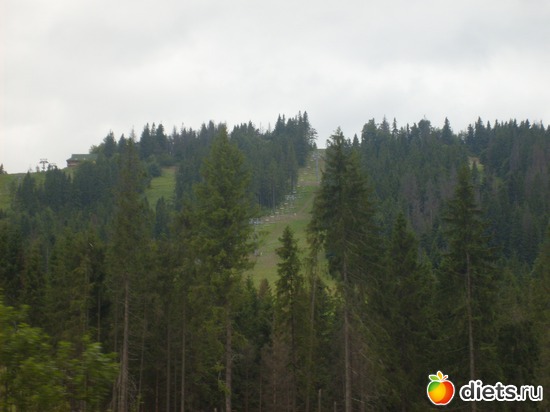 5 ����: ����� � ��������