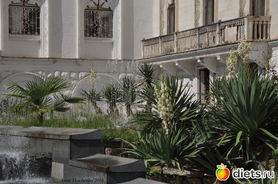 3 ����: �����