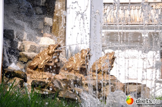 4 ����: �����