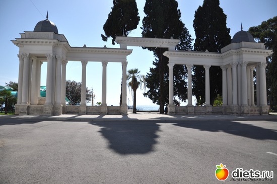 5 ����: �����