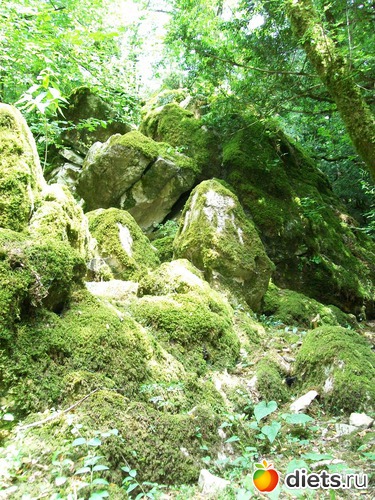 �� ������ �� ����, ������: �����