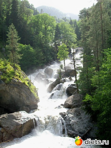 �������� �������, ������: �����