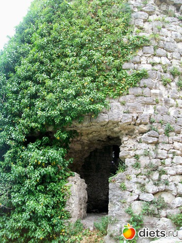 10 ����: �����