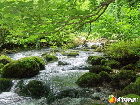 11 ����: �����