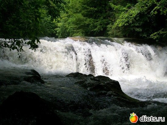 12 ����: �����