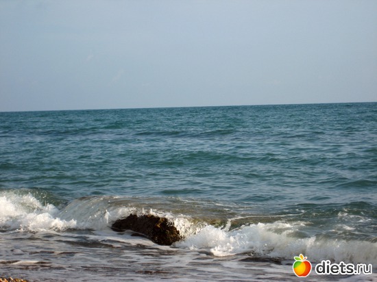 13 ����: �����