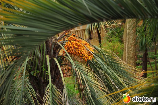 15 ����: �����