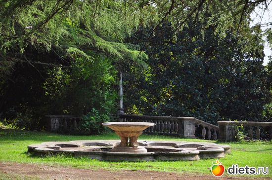 17 ����: �����