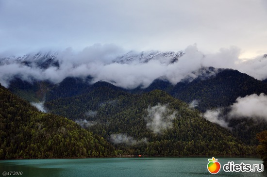 21 ����: �����