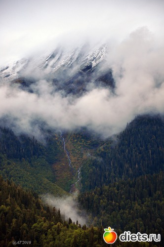 22 ����: �����