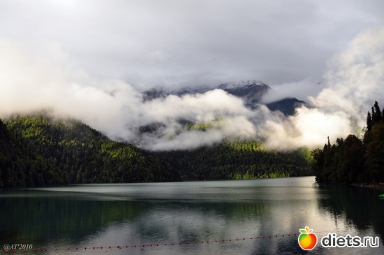 23 ����: �����