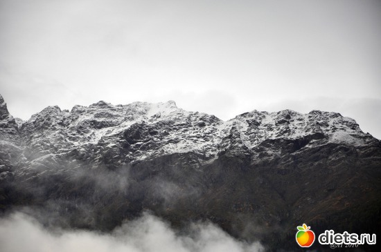 24 ����: �����