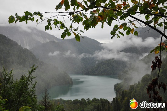 ����, ������: �����