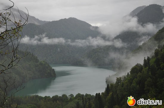 26 ����: �����