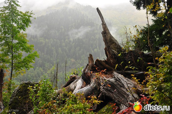 27 ����: �����