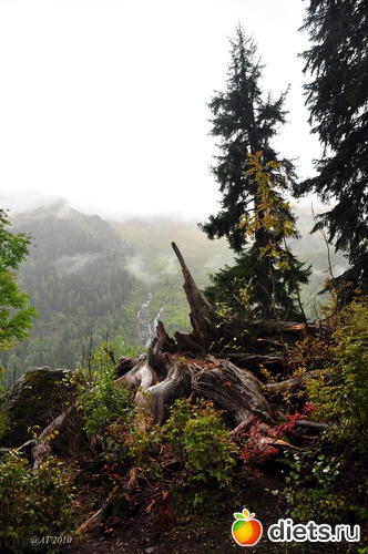 28 ����: �����