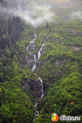 29 ����: �����