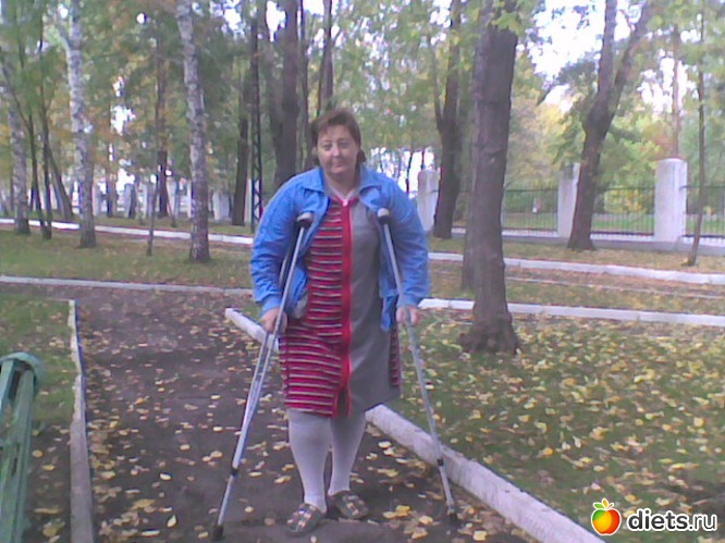 3 ����: ��������,�����������