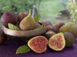 Инжир: польза для здоровья