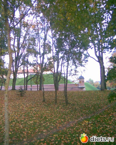 Осенний парк, альбом: У меня в садочке.