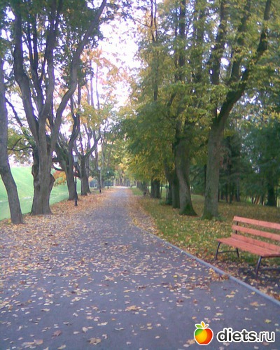 Осенний парк, альбом: У меня в садочке.