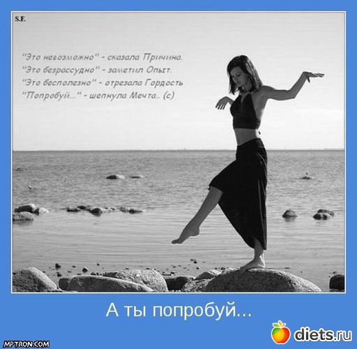 121 ����: ���������